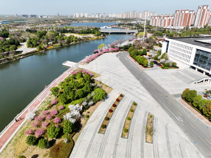 万物复苏春日忙 “花海遂平”斗芬芳160.png
