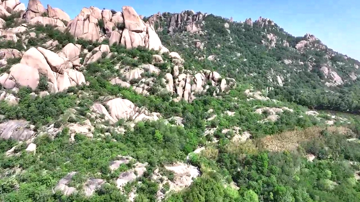 9661270.mp4_20250501_164847.783_副本.jpg