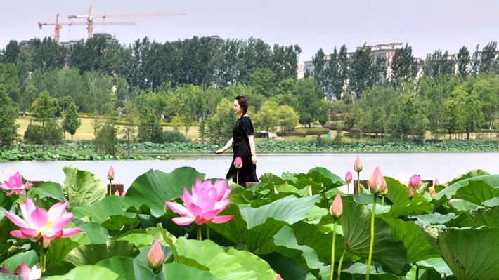 DJI_20250617100536_0638_D.MP4_000002.104_副本.jpg
