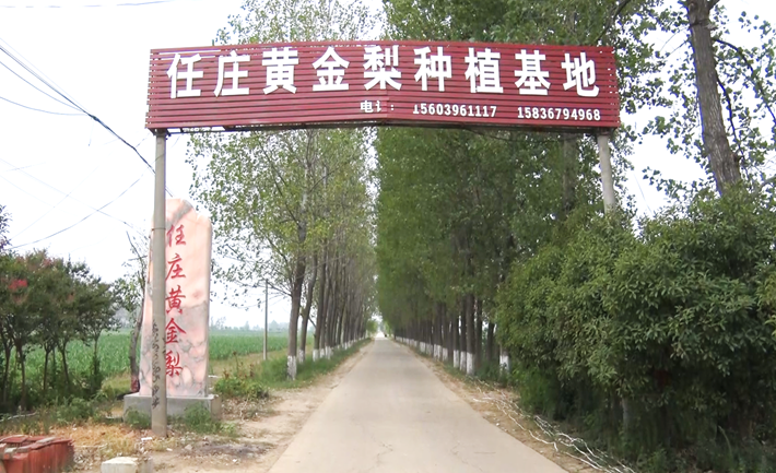 微信图片_20250715093918.png
