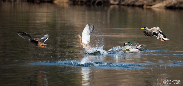 微信图片_20251106172240_164_9.jpg 微信图片_20251106172240_164_9.jpg