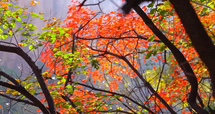 微信图片_20251106172214_163_9.jpg 微信图片_20251106172214_163_9.jpg