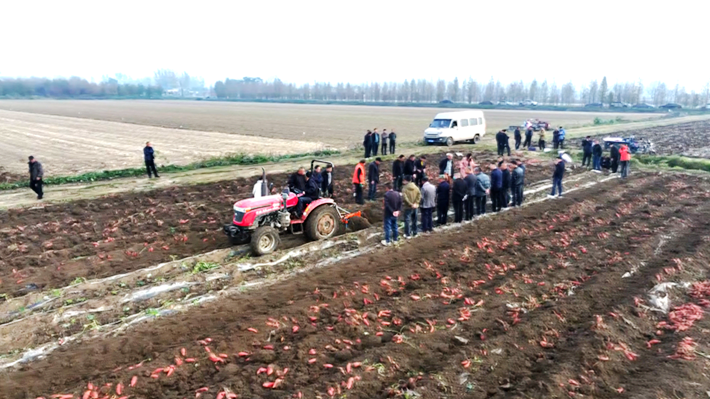 微信图片_20251117094239_170_9.png 微信图片_20251117094239_170_9.png