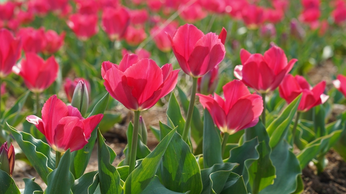 微信图片_20260322162832_8_76.jpg 微信图片_20260322162832_8_76.jpg