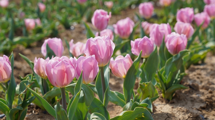 微信图片_20260322162841_9_76.jpg 微信图片_20260322162841_9_76.jpg