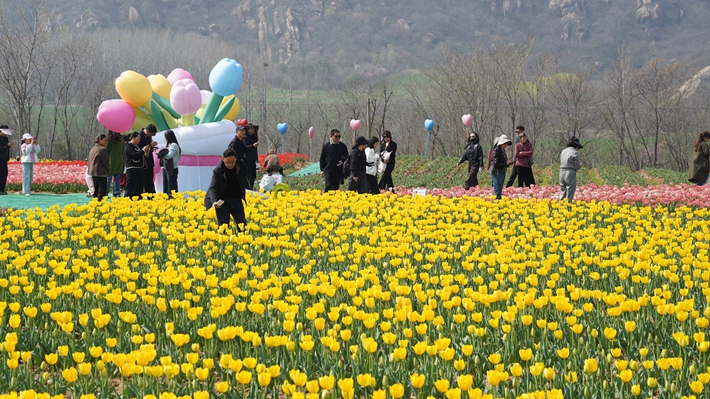 微信图片_20260322162944_13_76.jpg 微信图片_20260322162944_13_76.jpg