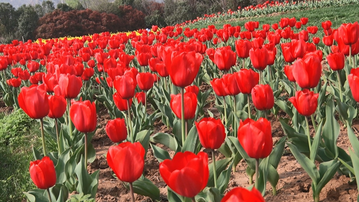 01374.MTS_20260330_152851.512_副本.jpg 01374.MTS_20260330_152851.512_副本.jpg