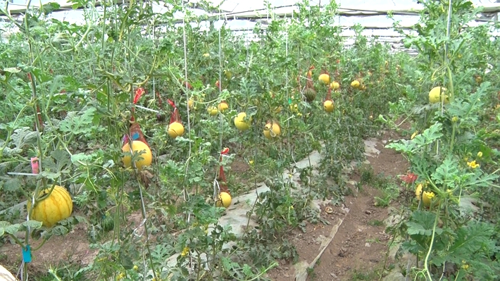 00022.MTS_20260414_155027.780_副本.jpg 00022.MTS_20260414_155027.780_副本.jpg