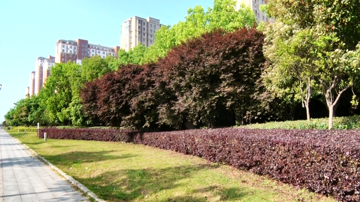 00856.MTS_20260415_161554.017_副本.jpg 00856.MTS_20260415_161554.017_副本.jpg