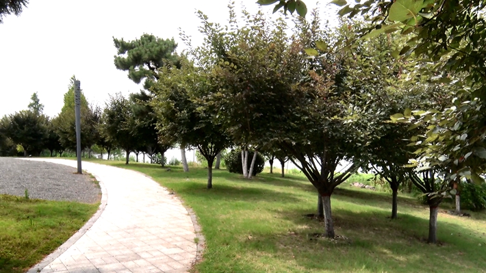 00232.MTS_20260715_162017.929_副本.jpg 00232.MTS_20260715_162017.929_副本.jpg