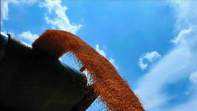 04.gif 04.gif