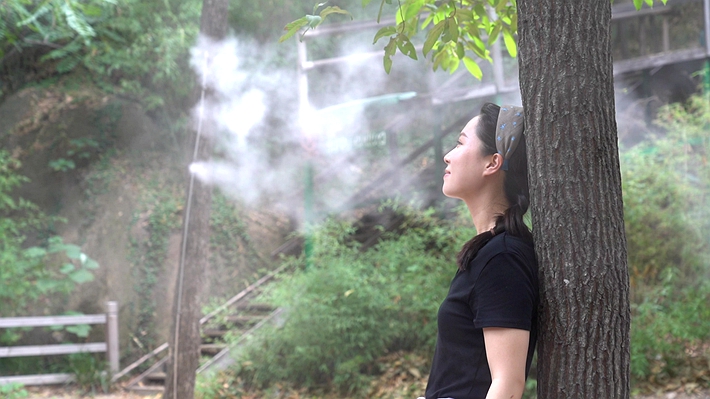 C0177.MP4_20260716_181710.010_副本.jpg