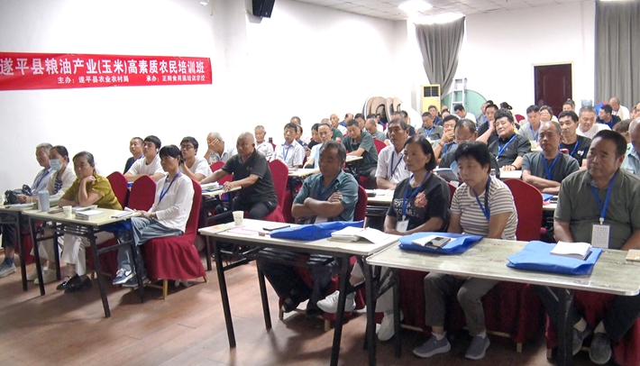 01004.MTS_20260817_171024.163_副本.jpg