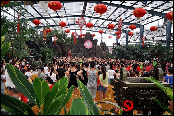 娟子拉丁舞培训基地举办暑期汇报演出