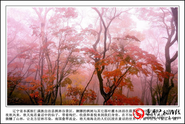 秋天的童话