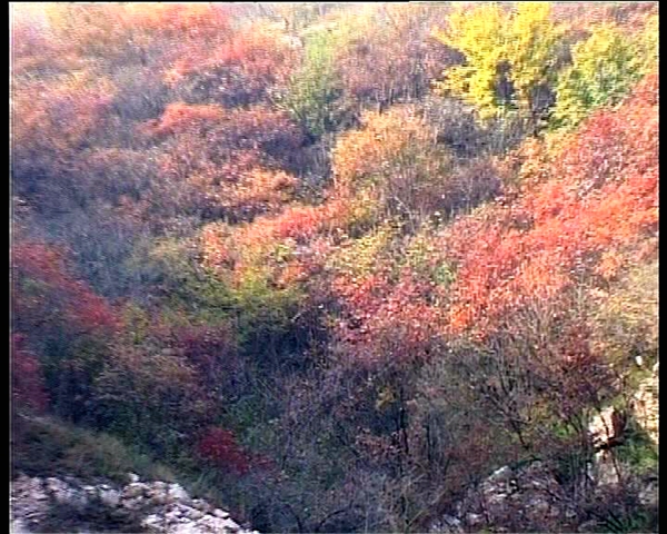 遂平西部山区红叶美景醉游人