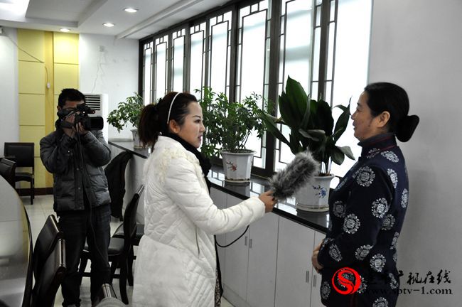 电影《春归》在遂平县举行开机仪式