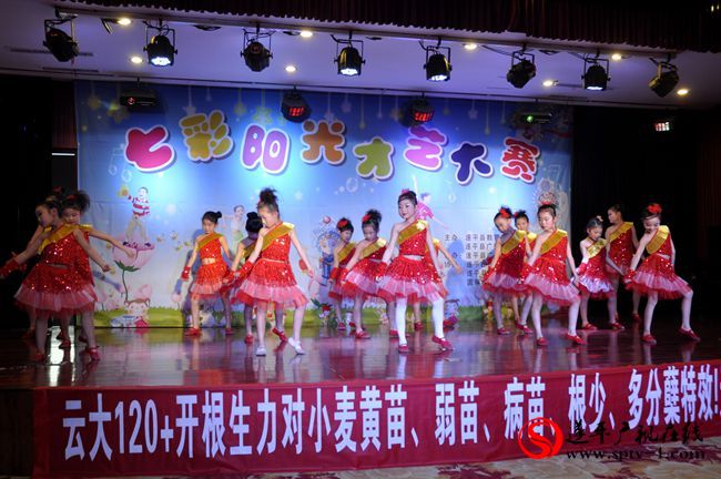 遂平：《七彩阳光少儿才艺大赛》第三季赛举行