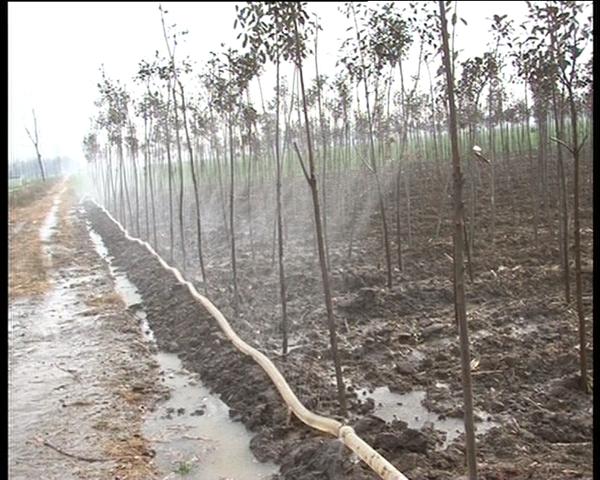 遂平：依托土地流转发展特色产业