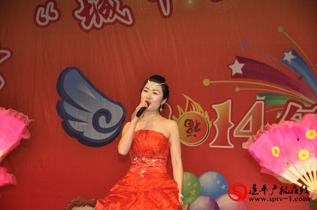 遂平“城中央”杯七彩阳光才艺大赛2014年度总决赛掠影