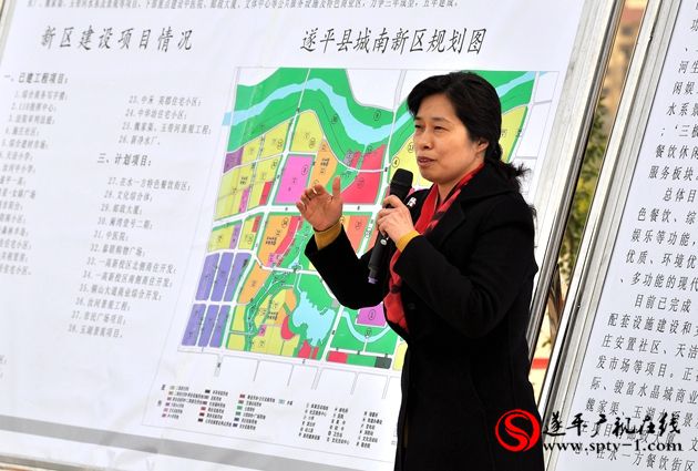 市长武国定深入遂平观摩城市建设