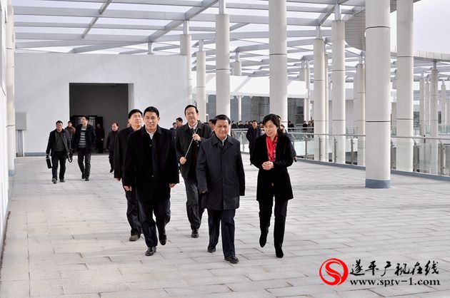 市长武国定深入遂平观摩城市建设