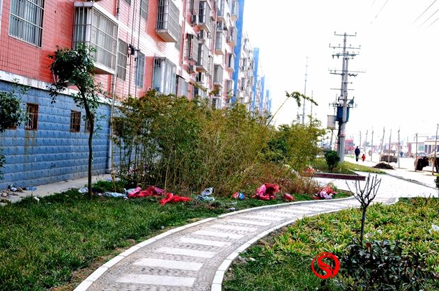 网友观察:建而不管 劳民伤财