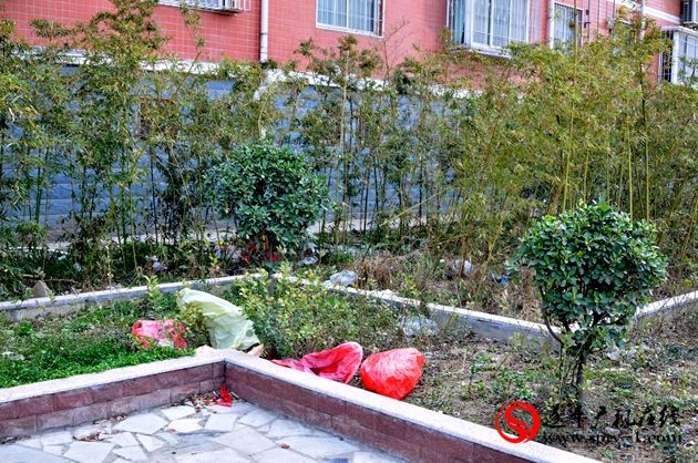 网友观察:建而不管 劳民伤财