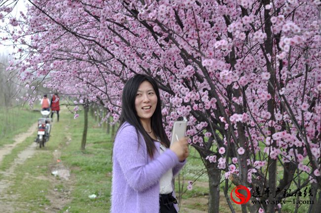 遂平：春天百花开 游客赏花来