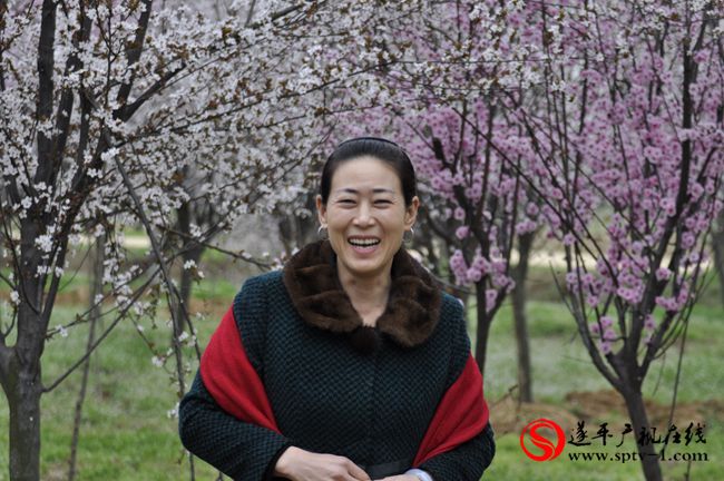 遂平：春天百花开 游客赏花来