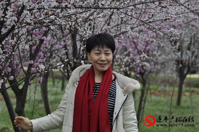 遂平：春天百花开 游客赏花来