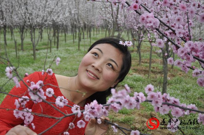 遂平：春天百花开 游客赏花来