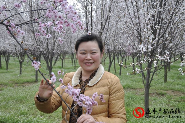 遂平：春天百花开 游客赏花来