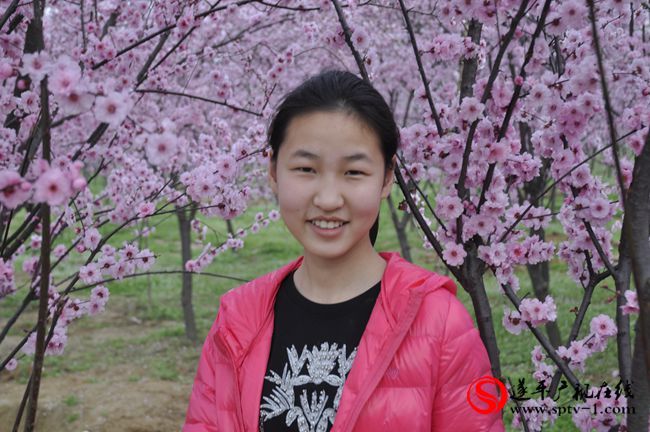 遂平：春天百花开 游客赏花来