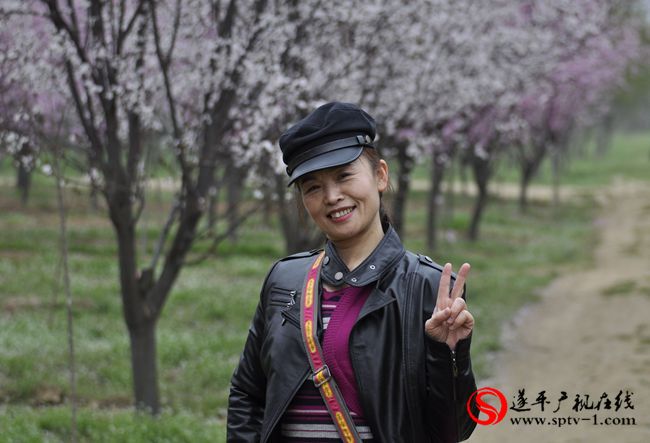 遂平：春天百花开 游客赏花来