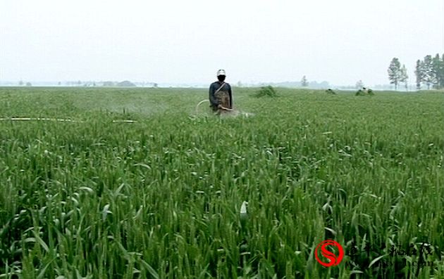 遂平：“土地托管”托出农业服务新模式