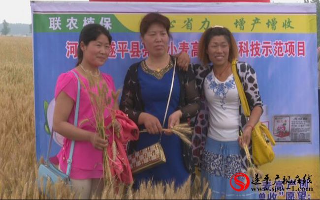 遂平：组织小麦生产观摩 加强农业技术培训