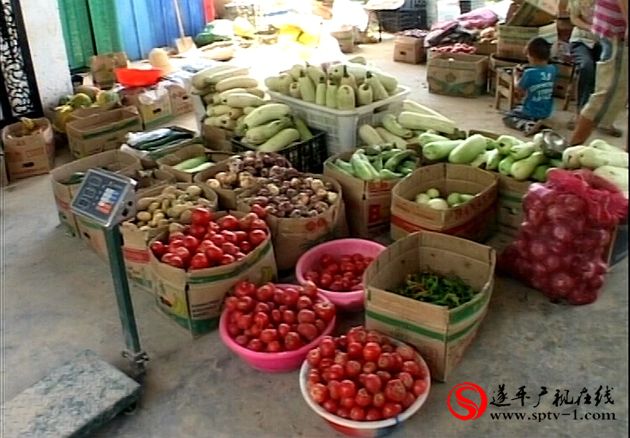 遂平:高效农业助农增收