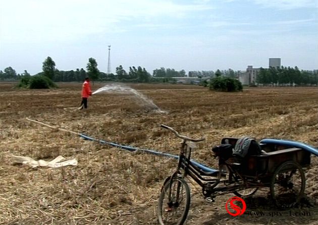 遂平：抗旱保苗掀高潮   确保秋粮丰收