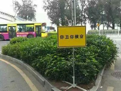 “你丑你横穿”标语火了 来听听心理专家咋说
