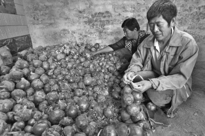 通许菜农回家路上路上援助电话不断 感恩便宜卖瓜