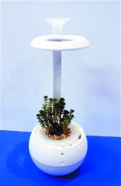 智能神器秀身手：圆珠笔防近视 花盆能自浇花