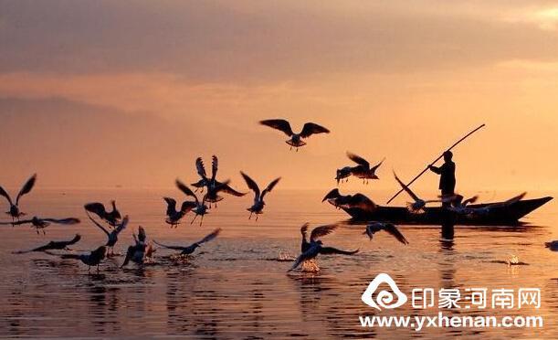 中国之最在河南——驻马店篇