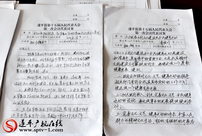 人大代表议案 摄影:建明