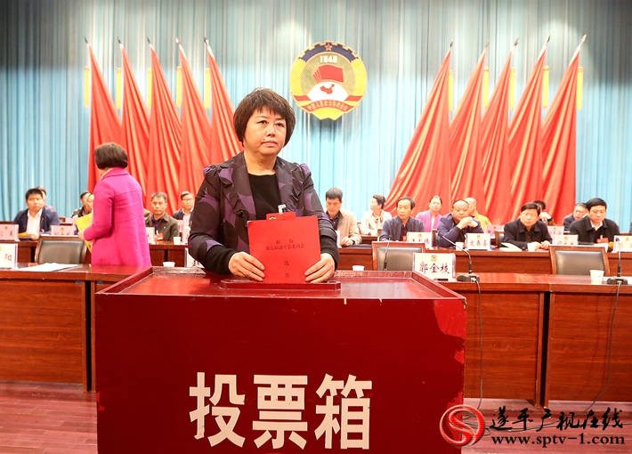 图为:政协第九届遂平县委员会主席郭金枝投票。摄影:建明 冠红