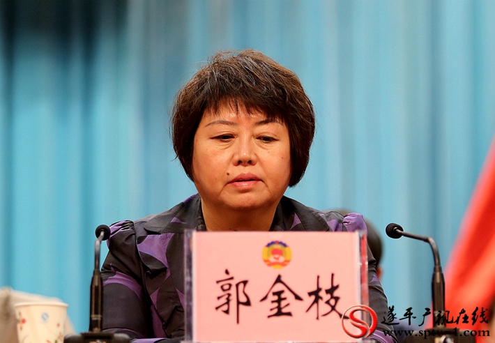 图为:政协第九届遂平县委员会主席郭金枝讲话。摄影:建明 冠红