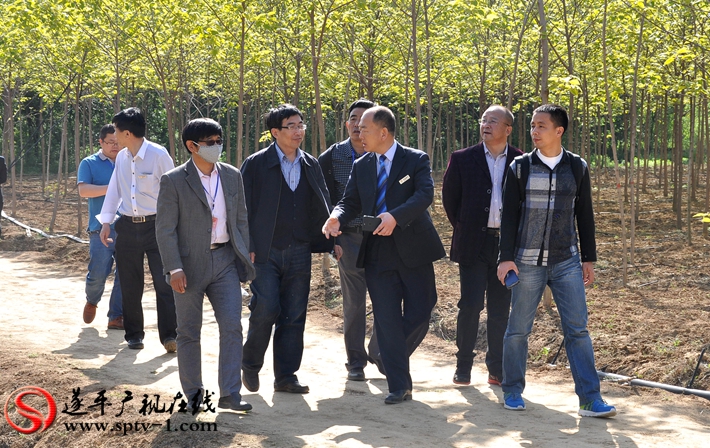 上图:参加国家林木种质资源共享服务平台2017年度工作会暨第四届全国林木种质资源与生态建设高端论坛的代表参观河南名品彩叶苗木基地。