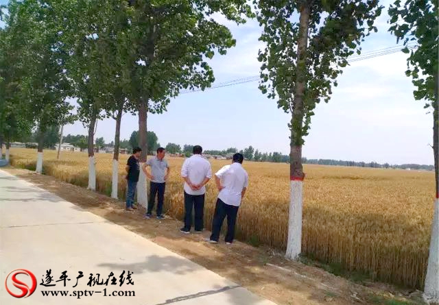 微信图片_20170526113223