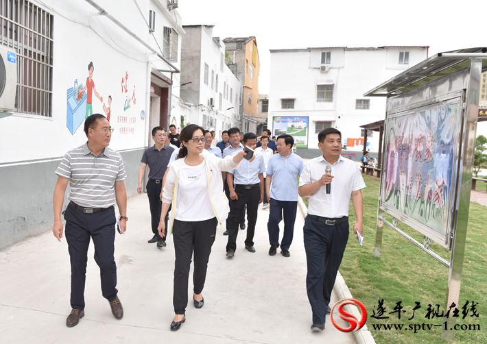 上图:观摩人员在莲花湖街道民安社区健康主题公园实地察看。