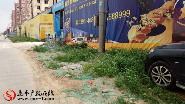 上图:文化路北段锦绣曹庄二期东侧杂草丛生。